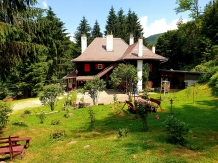 Cabana Basmelor La Ciubar - accommodation in  Sibiu Surroundings (11)