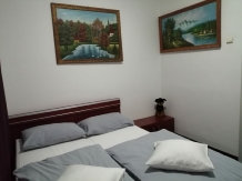 Cabana Basmelor La Ciubar - accommodation in  Sibiu Surroundings (14)