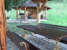 Cabana Basmelor La Ciubar - accommodation in  Sibiu Surroundings (33)