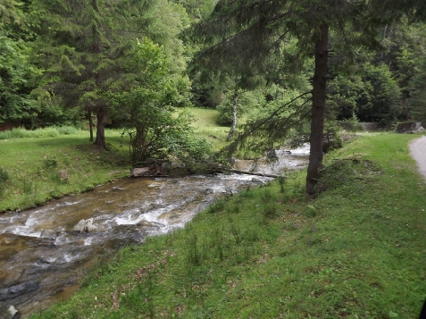 Cabana Basmelor La Ciubar - alloggio in  Dintorni di Sibiu (Attivit&agrave; e i dintorni)