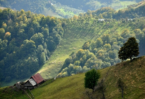 Cabana Basmelor La Ciubar - cazare Marginimea Sibiului (Activitati si imprejurimi)