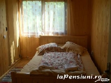 Pensiunea Codru - accommodation in  Apuseni Mountains, Motilor Country, Arieseni (12)
