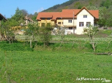 Pensiunea Codru - accommodation in  Apuseni Mountains, Motilor Country, Arieseni (13)