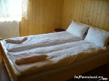 Pensiunea Codru - accommodation in  Apuseni Mountains, Motilor Country, Arieseni (16)