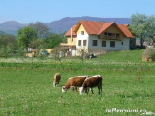 Pensiunea Codru - accommodation in  Apuseni Mountains, Motilor Country, Arieseni (19)