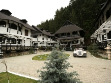 Complex Lions - accommodation in  Gura Humorului, Voronet, Bucovina (11)