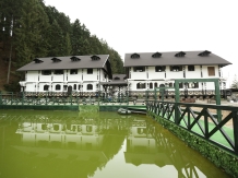 Complex Lions - accommodation in  Gura Humorului, Voronet, Bucovina (23)