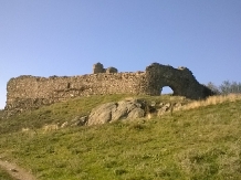 Pensiunea Aurelia - alloggio in  Crisana (19)