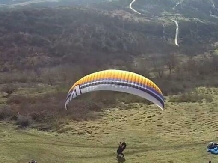 Pensiunea Aurelia - alloggio in  Crisana (33)