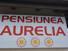 Pensiunea Aurelia - accommodation in  Crisana (52)