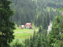 Cabana Elena - alloggio in  Apuseni, Tara Motilor, Arieseni (01)