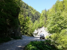 Cabana Elena - alloggio in  Apuseni, Tara Motilor, Arieseni (17)