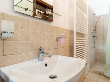 Casa Rica - accommodation in  Olt Valley (07)