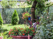 Casa Rica - accommodation in  Olt Valley (14)