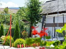 Casa Rica - accommodation in  Olt Valley (15)