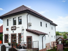 Casa Rica - accommodation in  Olt Valley (18)