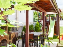 Casa Rica - accommodation in  Olt Valley (19)