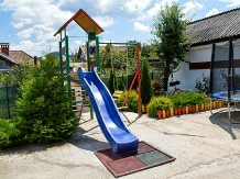 Casa Rica - accommodation in  Olt Valley (21)