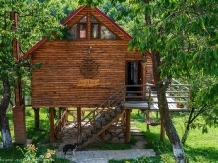 Casa din piatra-Casuta din Poiana-Hobbit - accommodation in  North Oltenia (21)
