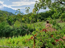 Casa din piatra-Casuta din Poiana-Hobbit - alloggio in  Nord Oltenia (24)