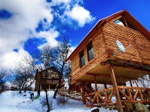 Casa din piatra-Casuta din Poiana-Hobbit - accommodation in  North Oltenia (36)