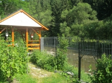 Casa Lia - alloggio in  Apuseni, Tara Motilor, Arieseni (11)