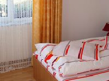 Casa Corina - accommodation in  Vatra Dornei, Bucovina (16)