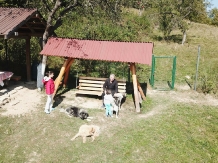 Casa Duk - alloggio in  Rucar - Bran, Rasnov (11)
