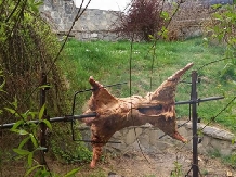 Casa Duk - alloggio in  Rucar - Bran, Rasnov (24)