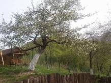 Casa Duk - accommodation in  Rucar - Bran, Rasnov (29)
