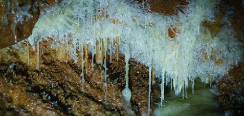 Pensiunea Rosia - cazare Crisana (Activitati si imprejurimi) Pensiunea Rosia - cazare Crisana (Activitati si imprejurimi)