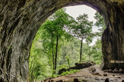 Pensiunea Rosia - cazare Crisana (Activitati si imprejurimi)