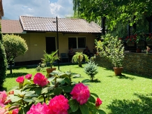 Casa Neamtu - alloggio in  Valea Cernei, Herculane (13)