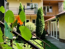 Casa Neamtu - accommodation in  Cernei Valley, Herculane (14)