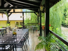 Casa Neamtu - accommodation in  Cernei Valley, Herculane (15)