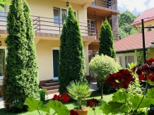 Casa Neamtu - alloggio in  Valea Cernei, Herculane (16)