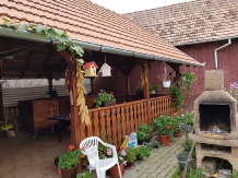 Pensiunea Ana Dragusana - accommodation in  Fagaras and nearby, Sambata (02)