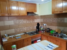Pensiunea Ana Dragusana - accommodation in  Fagaras and nearby, Sambata (04)