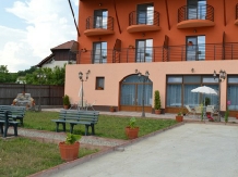 Pensiunea Sanella - accommodation in  Banat (02)