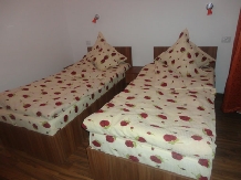 Pensiunea Sanella - accommodation in  Banat (11)