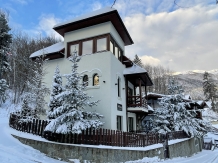 Alfinio Villa - cazare Valea Prahovei (02)