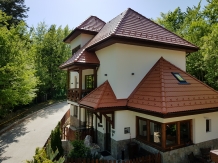 Alfinio Villa - cazare Valea Prahovei (03)