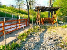 Cabana Sat Sugatag - accommodation in  Maramures Country (11)