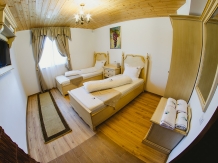 Cabana dintre Vii - alloggio in  Dintorni di Sibiu (03)