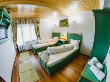 Cabana dintre Vii - alloggio in  Dintorni di Sibiu (11)