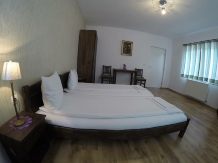 Casa Adalmo - accommodation in  Sighisoara (24)