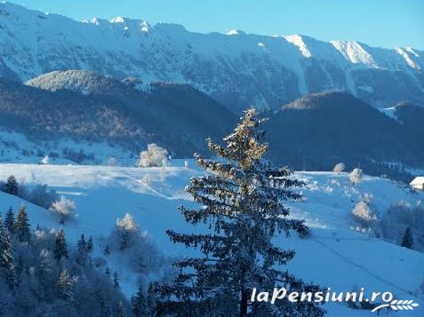 Pensiunea El Monte - accommodation in  Rucar - Bran (Surrounding)