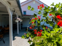 Pensiunea Aquaris - accommodation in  Sighisoara (12)