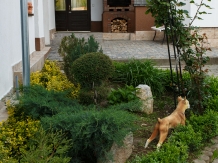 Pensiunea Casa Elena - accommodation in  Sibiu Surroundings (05)