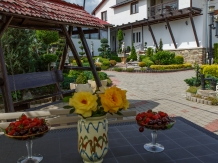 Pensiunea Casa Elena - accommodation in  Sibiu Surroundings (08)